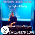 Perpetual Groove Flavor S2 EP14 par Hughes Giboulay