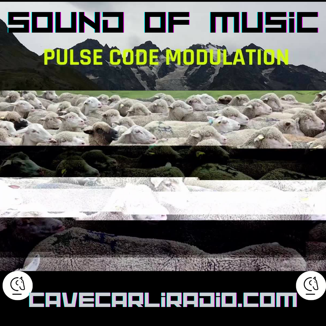 sound-of-music-pcm-webradio-vaucluse-cavecarliradio-ccr-electro-provence-culture