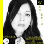 Collation Electronique S1 EP13 SYNATEC